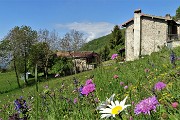 Monte Zucco (1232 m) da casa-Zogno (300 m) ad anello sui sent. CAI-505 e 505A il 16 maggio 2019 - FOTOGALLERY